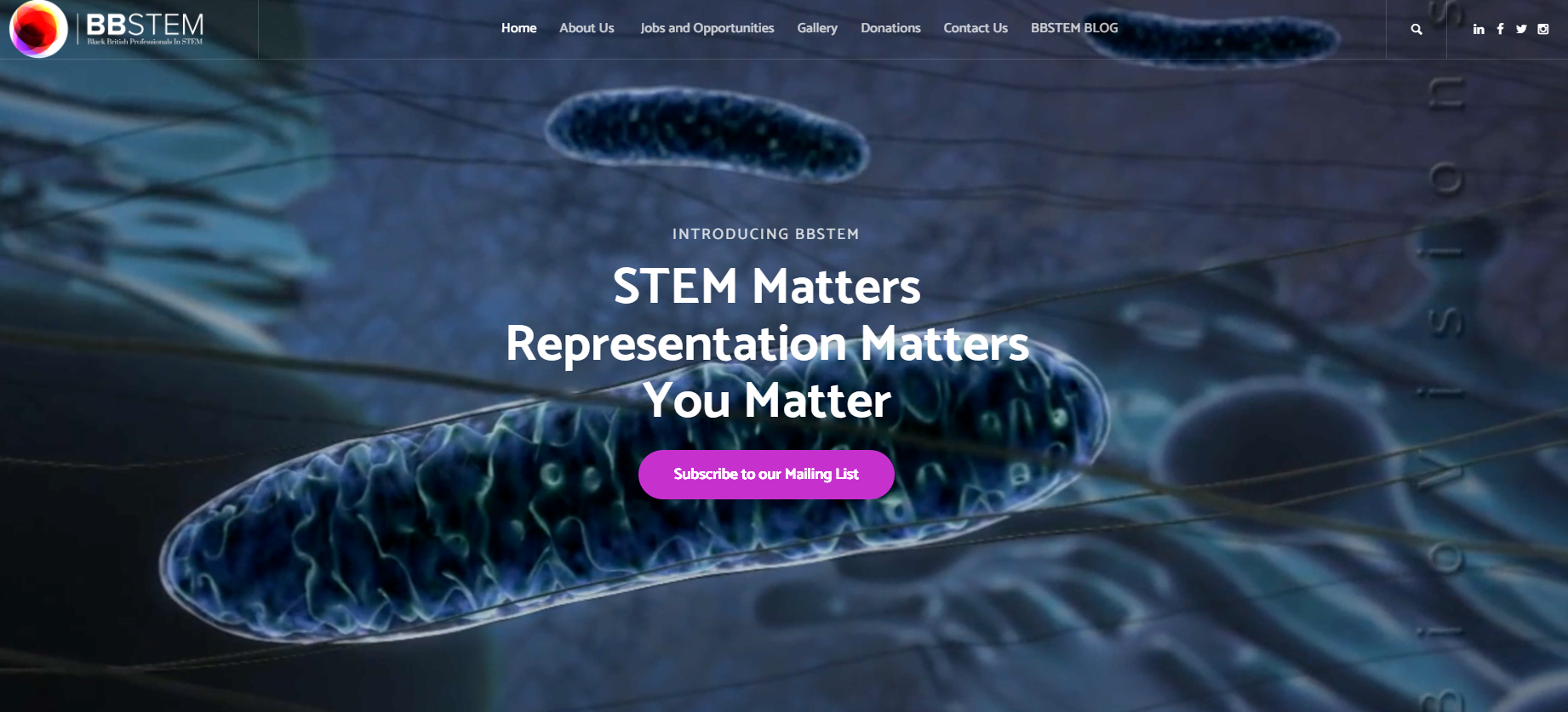 BBSTEM homepage